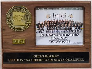 2023 Girls Hocky Section 7AA Champion and State Qualifier